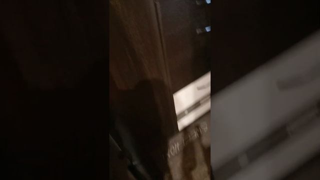 вентилятор  и  свет моем доме