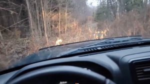 Нива Бронто или УАЗ Хантер, что лучше для бездорожья? М