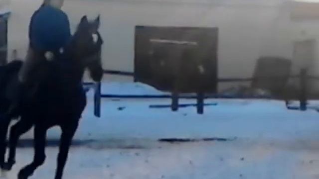 Фильм про Окс и коней смотреть онлайн