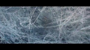 Станция 88 (2019 Международный тизер)