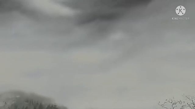 Каролина в стране кошмаров - Carolina. смотреть онлайн