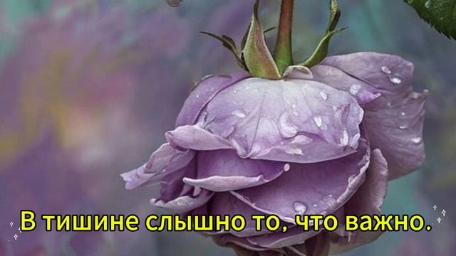 Подпишись! смотреть онлайн