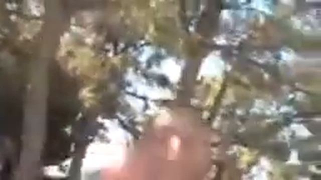 негры орут ооооооооооннннннн смотреть онлайн