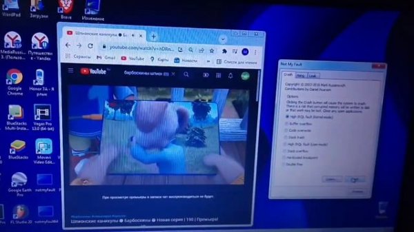 Барбоскины Has BSOD