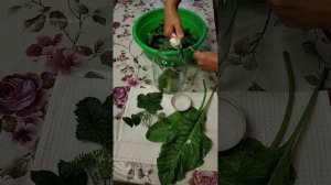 Единственные огурцы в 3 литровой банке.