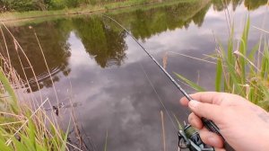 Мормышинг. Краснопёрка.