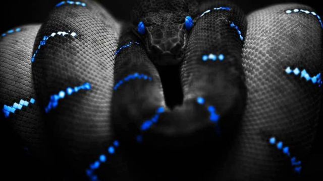 В1аск Снэйк Samp RP покойся с миром