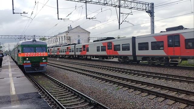 Двойной Скоростной Электропоезд Ласточка ЭС2ГП-016+ЭС2ГП-015 До станции Москва Пролетает мимо Любань смотреть онлайн