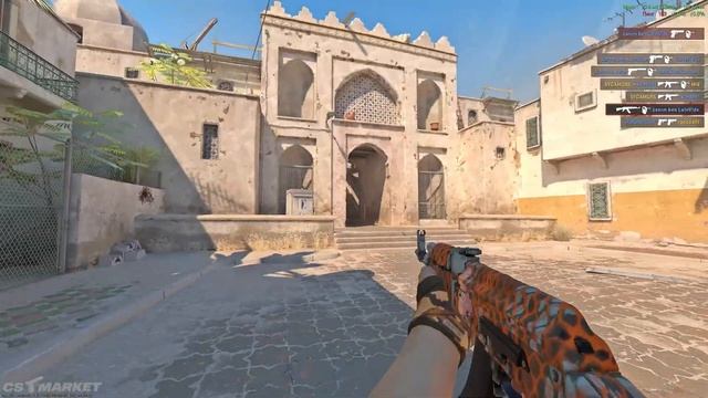 AK-47 | Safety Net / AK-47 | Защитная сетка / CS2