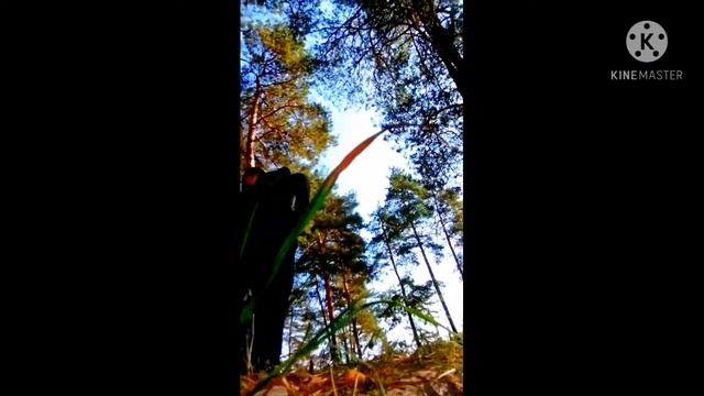 Киборг убийца юмор 3 серия. смотреть онлайн