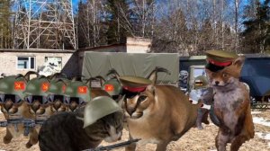 Шлёпа против Бингусов|2 сезон 2 серия|секретное место.