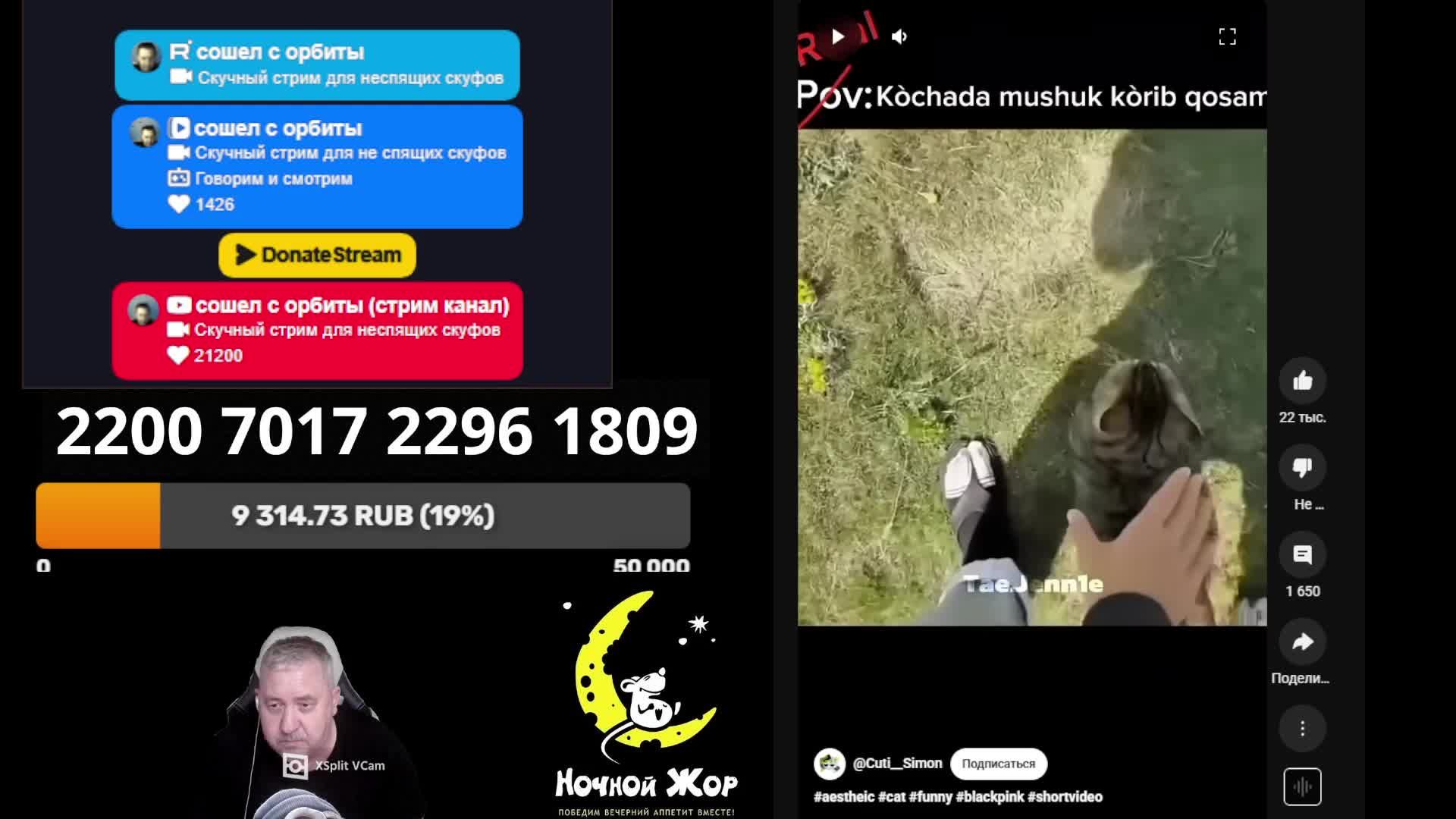 Скучный стрим для неспящих скуфов смотреть онлайн
