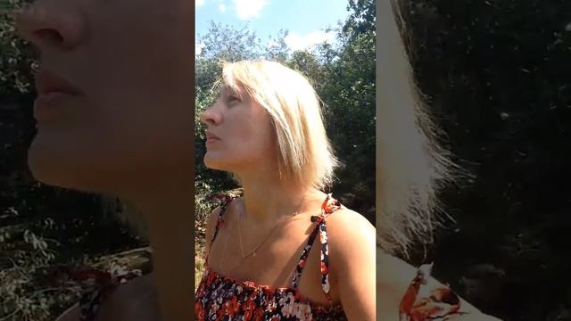 Эльфииские новеллы