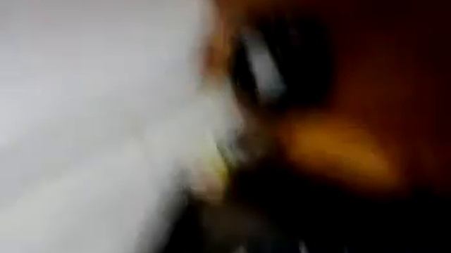 Ужас в общаге. смотреть онлайн