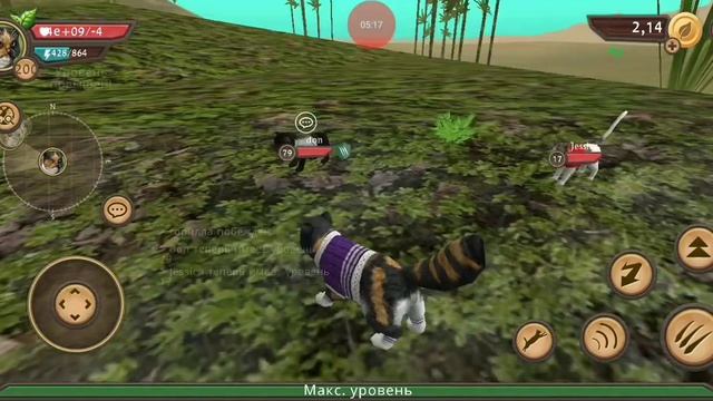 Кет сим взлом 200,999 лвл смотреть онлайн