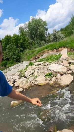 РЕКА ЧАПАЕВКА/САМАРСКАЯ ОБЛАСТЬ/РЫБАЛКА НА РЕКЕ/СПИННИНГ/УДОЧКА/РЫБАЛКА В САМАРЕ/ЛОВЛЯ ЩУКИ,ГОЛАВЛЯ