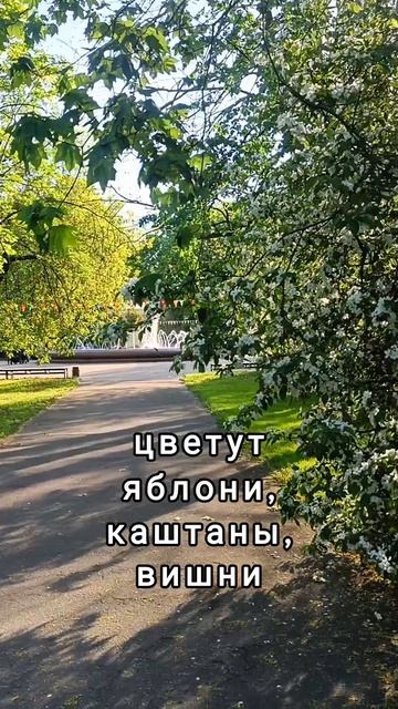 двадцать пятого 25 смотреть онлайн