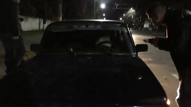 Собака угнала автомобиль/Dog Stolen Car