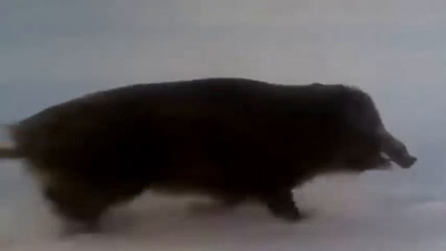 Жажда жизни! смотреть онлайн