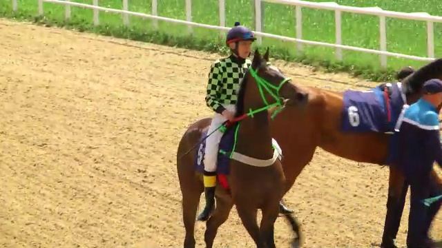 Павловские скачки в честь дня защиты детей и дня пограничника