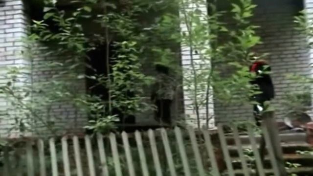 Территория Зла 2 (2010) смотреть онлайн