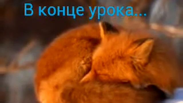 School Life (3 серия) смотреть онлайн