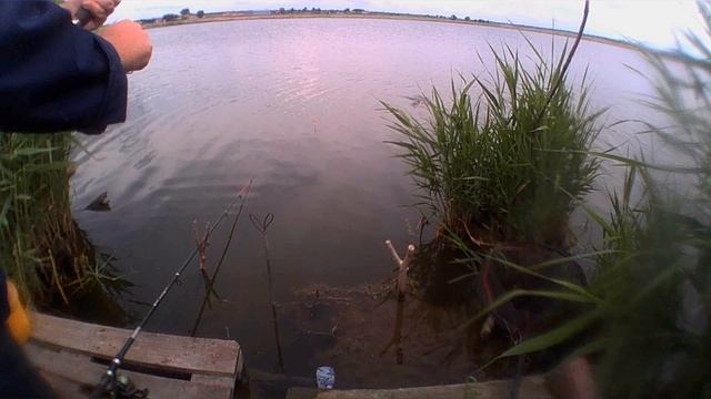 влог обо всем смотреть онлайн