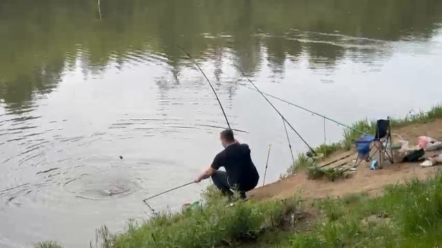 Карпуша клюет смотреть онлайн