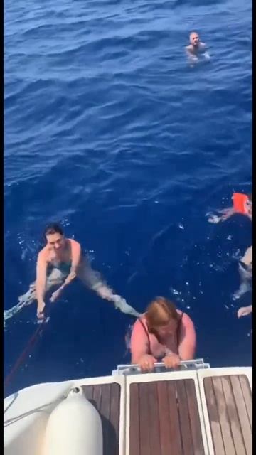 Купания яхтсменов. Среди акул над бездной!