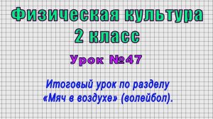 Физическая культура 2 класс (Урок№47 - Итоговый урок по разделу «Мяч в воздухе» (волейбол).)
