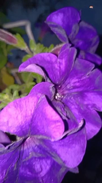 Я ПОДУМАЮ ЗАВТРА смотреть онлайн