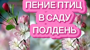 ПЕНИЕ ПТИЦ В САДУ. ПОЛДЕНЬ.