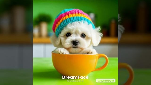 кофейный щеночек смотреть онлайн