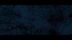 Последний клиент   (2022)