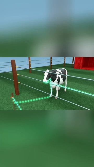 Насколько опасны электрические заборы ⚡👈 смотреть онлайн