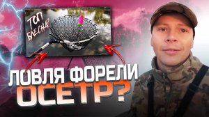 Ловля форели и осетра! Эта блесна ловит всегда!!#Fishing26