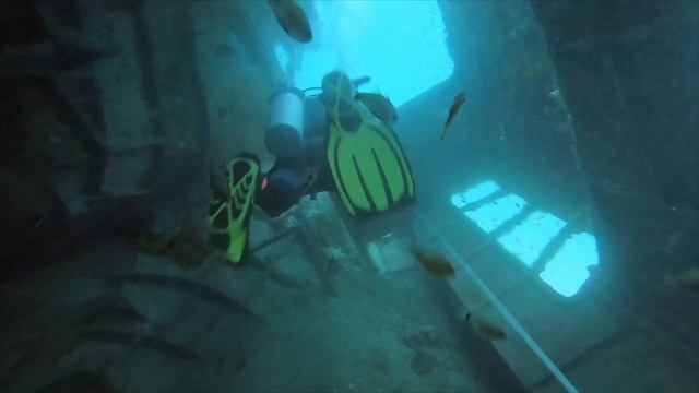 Divemaster course / Курс Дайвмастер смотреть онлайн