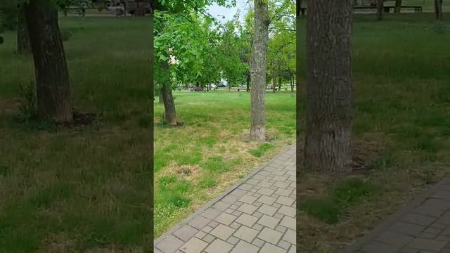 Парк Максима Горькова в Ейске, бесплатный зоопарк в Ейске, храмы, памятники, парк аттракционов смотреть онлайн