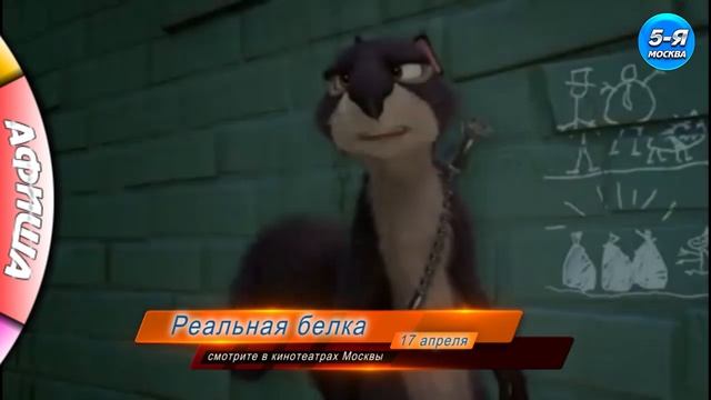 Реальная белка смотреть онлайн