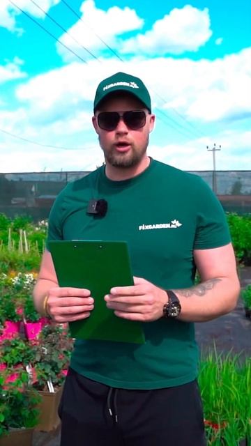 Влагозарядый полив на зиму общие рекомендации от пито смотреть онлайн