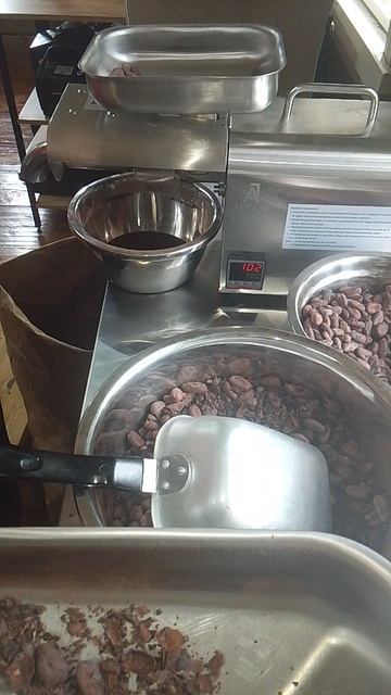 Создание какао масла и какао порошка Какао Крутов