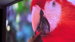 УДИВИТЕЛЬНО КРУТОЙ DLP ПРОЕКТОР  VEVSHAO V80