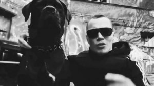 Цепной пёс /djklybniypes) Корней Тарасов) диз на клип