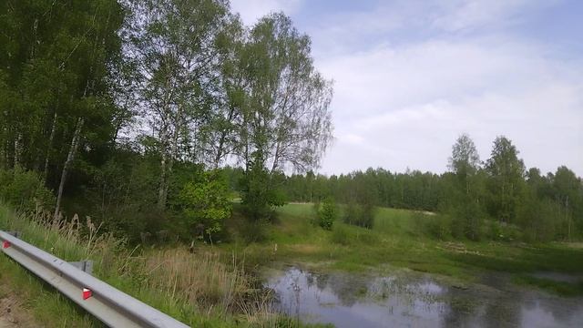 Красивая запруда 30 мая