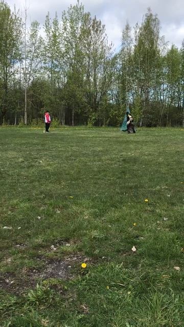 GITTA v. Alaska - №27. КЧК САНКТ-ПЕТЕРБУРГ 17 мая`25 Г.Гринько Моно нем.овч.