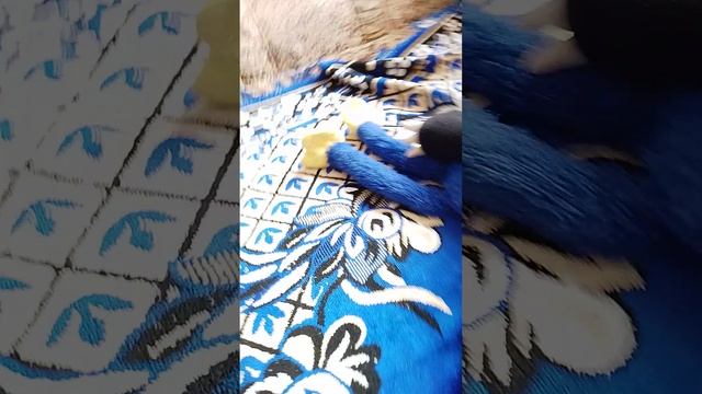 3 сезон 8 часть мягких игрушек.