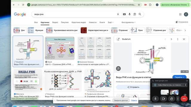 Recorded video - May 22, 2025 смотреть онлайн