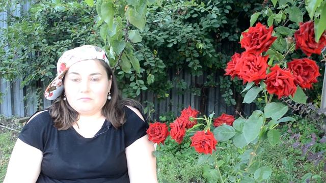 НАСТОЯЩИЙ ГЕНИЙ НИКОГДА НЕ СДАЕТСЯ ! / Фильм "ОДЕРЖИМОСТЬ"/ Разбор. смотреть онлайн