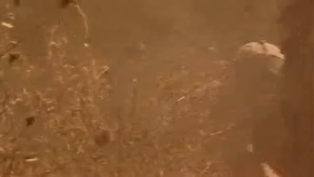 ЧЁРНЫЙ ЯСТРЕБ 2 (Боевик) Фильм