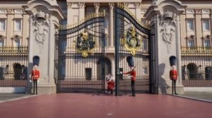 мультик королевский корги